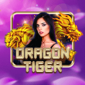Dragon Tiger JL 3 Com